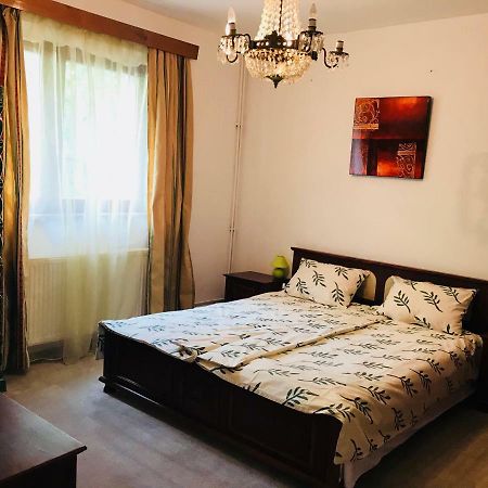 Vila Elite Appartamento Braşov Esterno foto