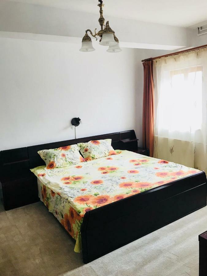 Vila Elite Appartamento Braşov Esterno foto